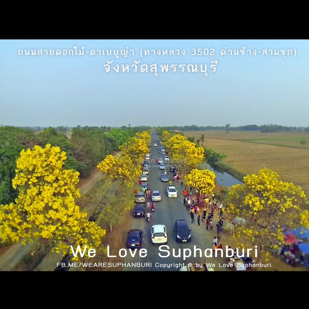 ภาพมุมสูงจาก / We Love Suphanburi