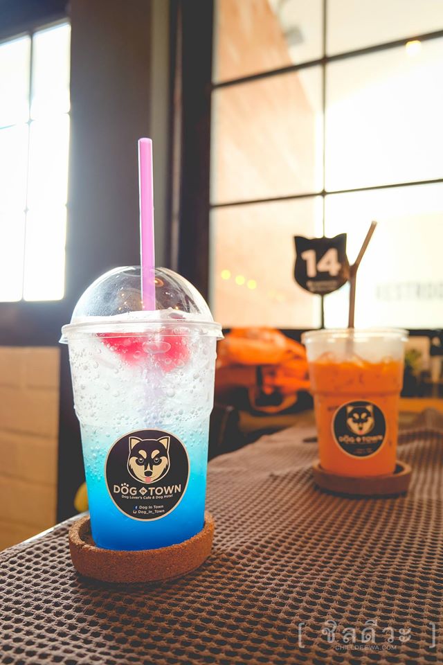 Dog in Town Cafe เอกมัย
