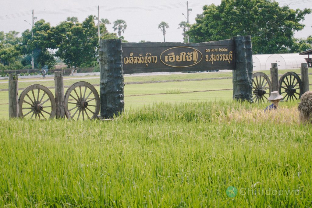 นาเฮียใช้ สุพรรณบุรี ศูนย์เรียนรู้วิถีชีวิตและจิตวิญญาณชาวนาไทย สุพรรณบุรี