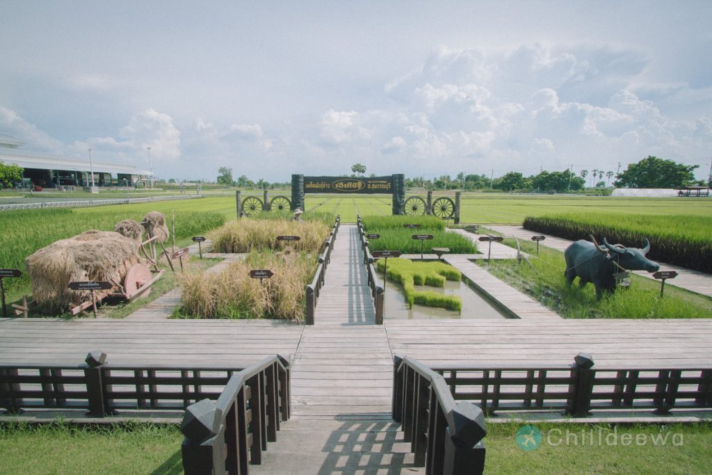 นาเฮียใช้ สุพรรณบุรี ศูนย์เรียนรู้วิถีชีวิตและจิตวิญญาณชาวนาไทย สุพรรณบุรี