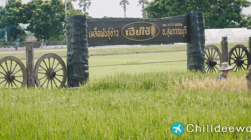 นาเฮียใช้ ศูนย์เรียนรู้วิถีชีวิตและจิตวิญญาณชาวนาไทย สุพรรณบุรี