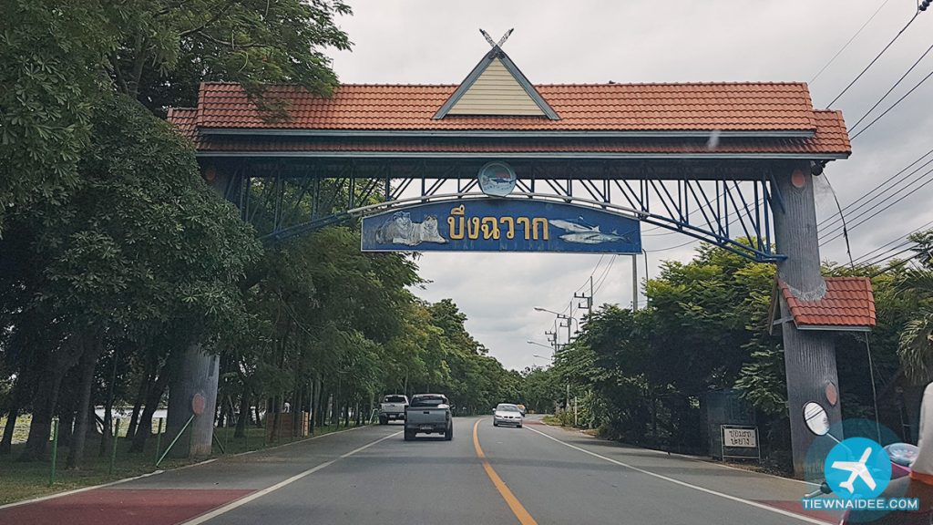 เที่ยวสุพรรณบุรี - บึงฉวากเฉลิมพระเกียรติ เดิมบางนางบวช สุพรรณบุรี