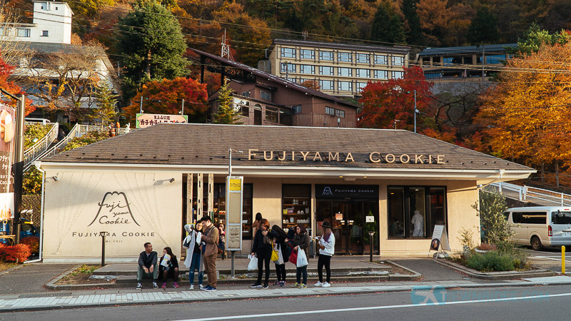 เที่ยวญี่ปุ่น EP.2 ไปดู FujiMt. ที่ Kawaguchiko