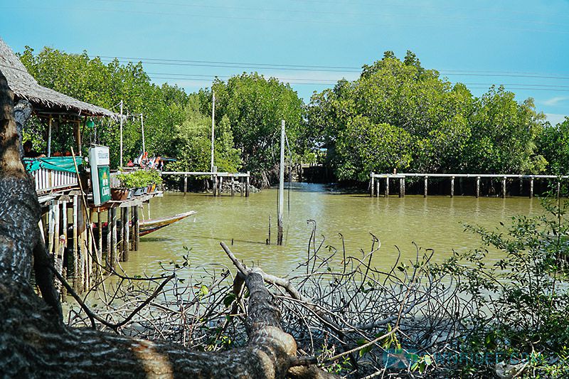 ร้านอาหารทะเลบางขุนเทียน - ครัวใบไม้ชายคลอง