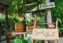 หนีกรุงไปนั่งตีพุงแบบชิลๆ ที่ "ร้าน Seed to seed