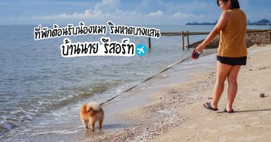 บ้านนาย รีสอร์ท บางแสน ที่พักติดหาดต้อนรับน้องหมา.