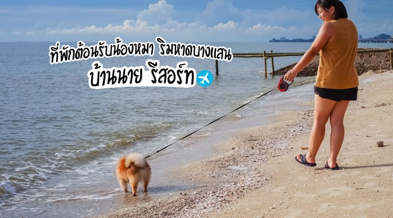 บ้านนาย รีสอร์ท บางแสน ที่พักติดหาดต้อนรับน้องหมา.