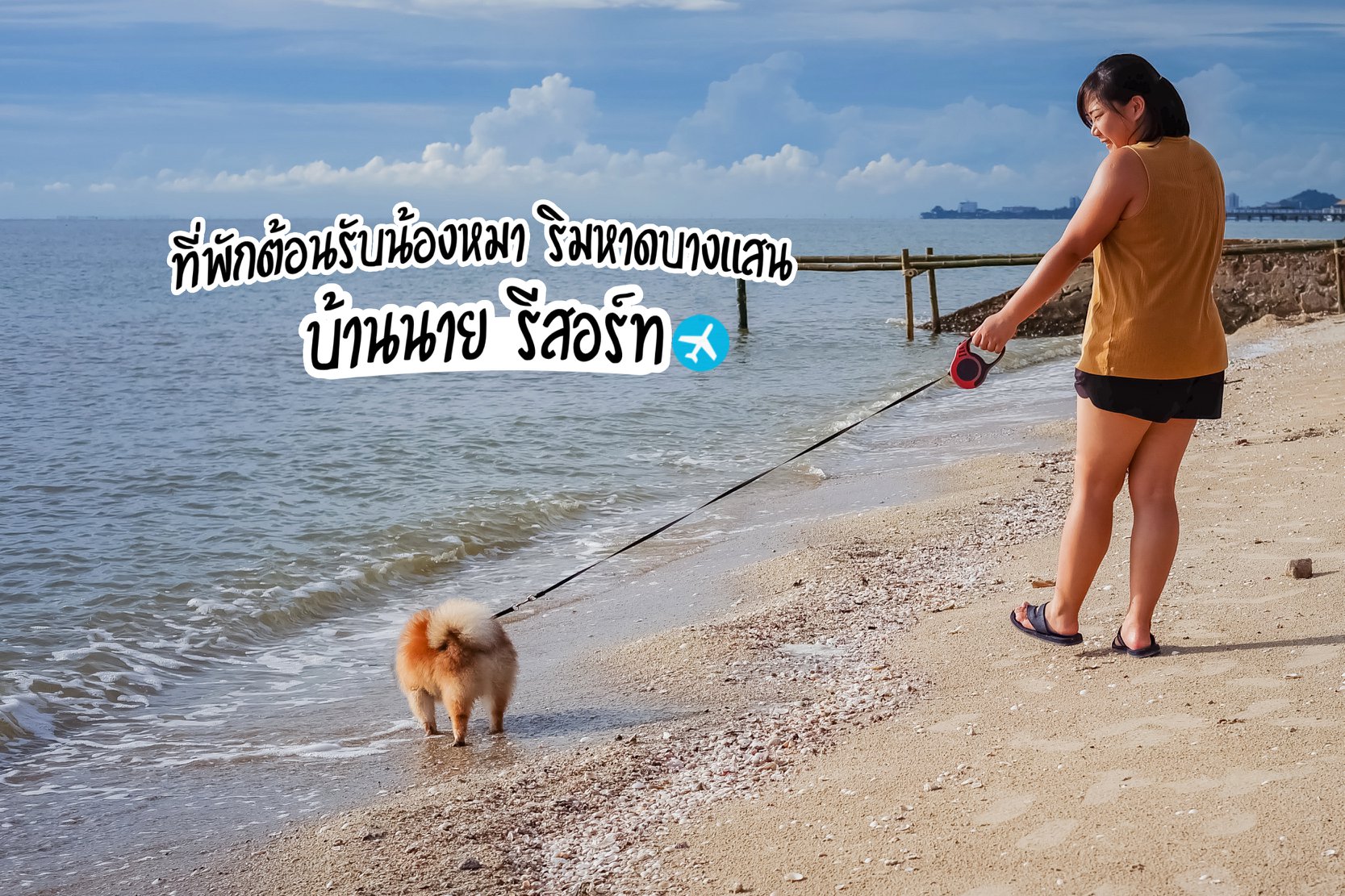 ที่พักบางแสน รีสอร์ทติดหาดต้อนรับน้องหมา บ้านนาย รีสอร์ท บางแสน - Tiewnaidee.com